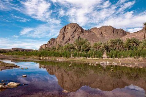 Excursion en calèche et visite de la Vallée De Dades et Oasis de Fint Ouarzazate